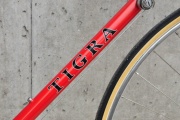 tigra