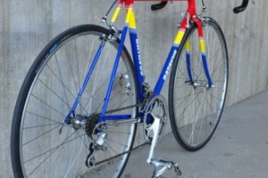 Batavus Professional - Columbus SL