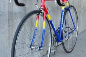 Batavus Professional - Columbus SL