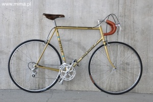 Koga Miyata Road Speed